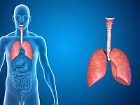 这四种疾病容易导致肺癌的发生，平常必须要留意，做到定期体检