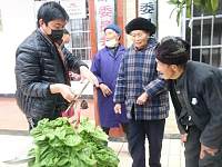 【信息化助农行动】花垣县收购蔬菜、爱心助农；临武县益农社很益农