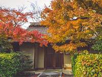 日本京都境内二尊院寺院号称红叶的马场，景色绝美游人少