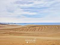 一半沙漠，一半海水，日本最大的沙丘群鸟取沙丘