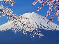 日本人崇敬的圣地富士山，上面到底有些什么，登山客：难以想象