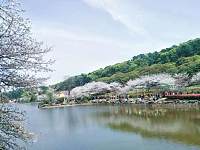 五一免费景区游玩推荐：湖南省森林植物园、铜官窑古镇、关山古镇部分免费