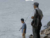 凌晨起床、不想回家、无欲无求湘江边上的中年人为了钓鱼能有多拼？
