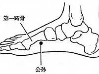 十二正经上的八脉交会穴通于奇经八脉，是灵龟八法的基础穴位