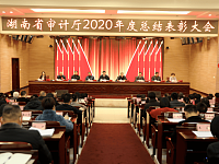 湖南省审计厅召开总结表彰大会