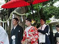 96%的日本婚礼堂业绩下滑！