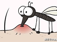 蚊子喜爱4种气味，这类人就容易被叮！记住3招，和蚊子说拜拜
