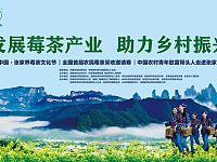 见证莓茶的高光时刻！中国•张家界莓茶文化节系列活动即将开幕