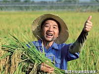 世界看湖南丨秋丰起农产品身份证开启百姓美好生活