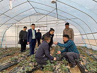 湖南省绿色食品发展中心赴湘西北调研绿色生资工作