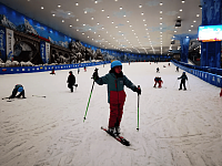 冬奥升温玩雪游丨湘江欢乐城欢乐雪域游客人数上涨近200%