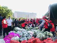 望城区靖港镇蔬菜企业爱心捐赠两万七千斤蔬菜，助力天心区抗疫