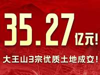 35.27亿！大王山土拍炽热开局