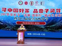 2022中华茶祖节·潇湘·邵阳红第三届舜皇山野茶节在新宁县隆重开幕